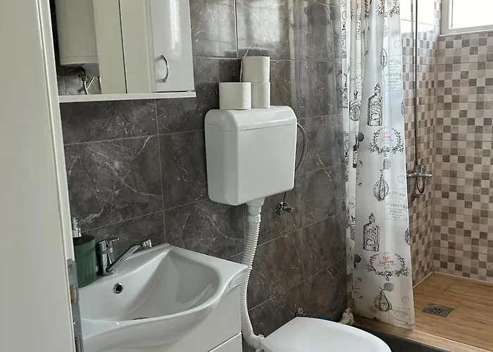 公寓 Kocic Prokuplje